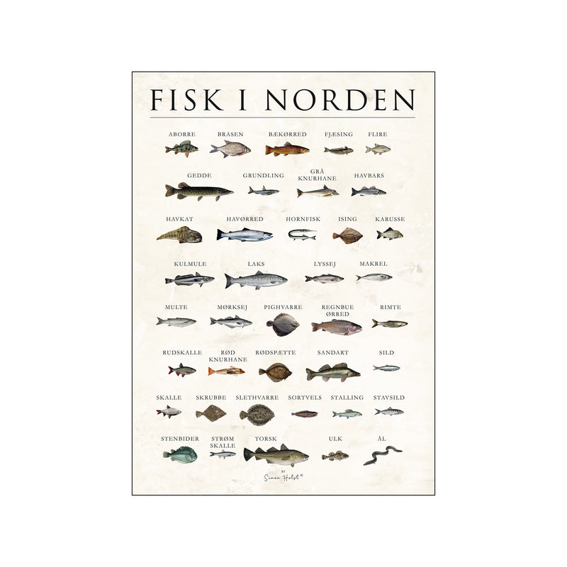 Fisk i norden, sten — Art print by Simon Holst from Poster & Frame