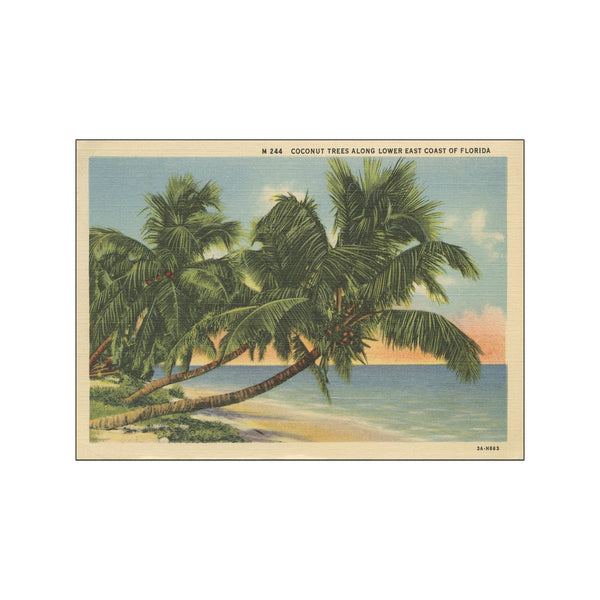 Florida Postcard III — Art print by Wild Apple from Poster & Frame