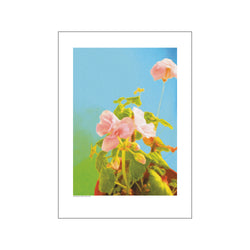Flowerpower lightblue — Art print by GraphicARTcph from Poster & Frame