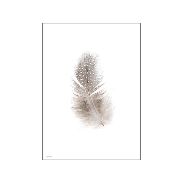 Fluffy feather — Art print by Kasia Lilja from Poster & Frame