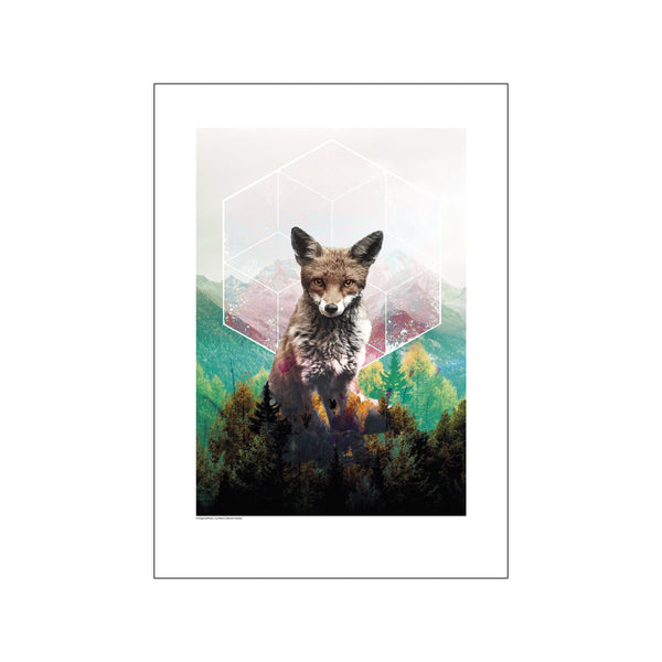 Fox — Art print by GraphicARTcph from Poster & Frame