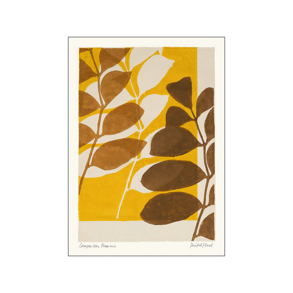 Printed Plant - Fraxinus II — Art print by PSTR Studio from Poster & Frame