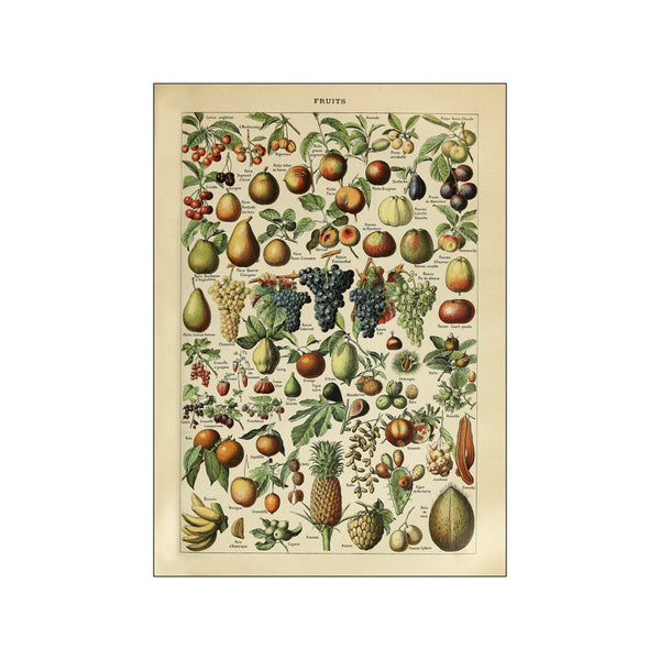 Fruits — Art print by Simon Holst from Poster & Frame