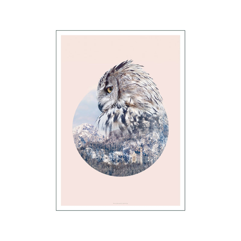 GEO Owl — Art print by Faunascapes from Poster & Frame