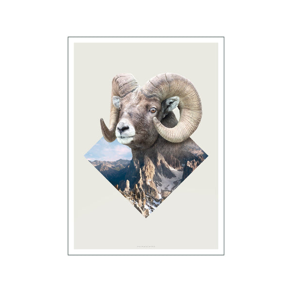 GEO Ram — Art print by Faunascapes from Poster & Frame