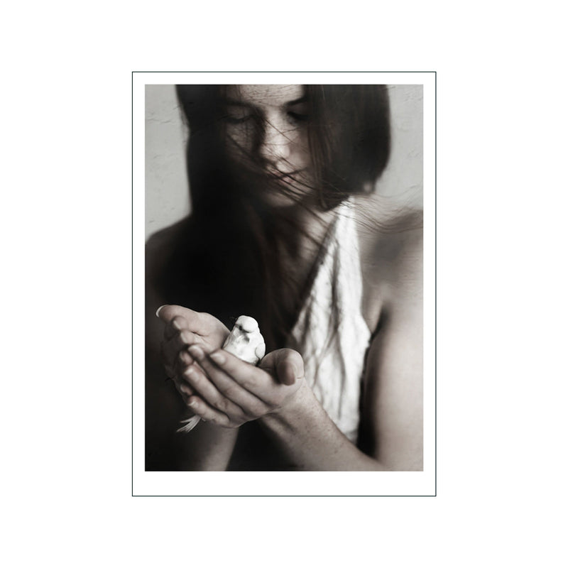Girl & Bird — Art print by Ingrey Studio from Poster & Frame
