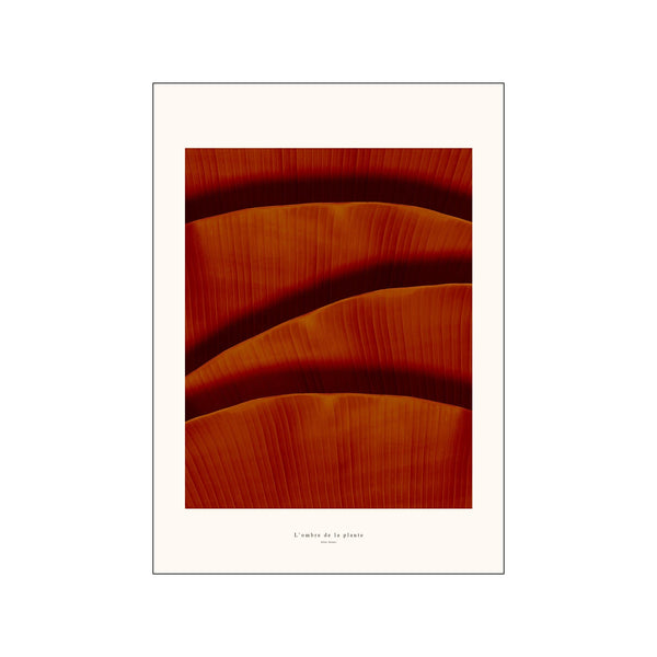 Golden — Art print by A.P. Atelier from Poster & Frame