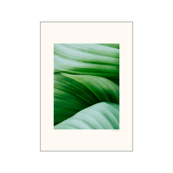 Greens — Art print by A.P. Atelier from Poster & Frame