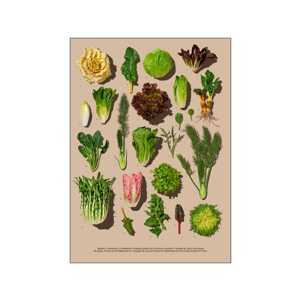 Grøntsager - Salat — Art print by Planetarisk Kogebog from Poster & Frame