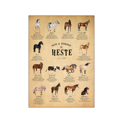 Heste, papir — Art print by Simon Holst from Poster & Frame