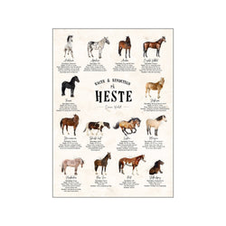 Heste - Sten — Art print by Simon Holst from Poster & Frame