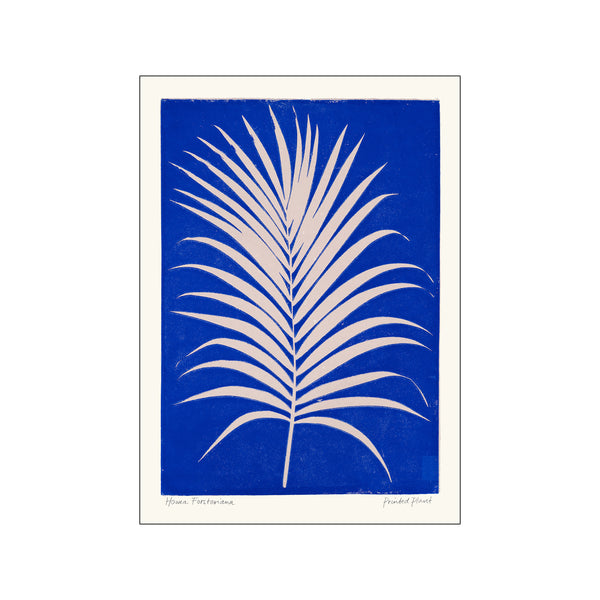 Printed Plant - Howea II — Art print by PSTR Studio from Poster & Frame