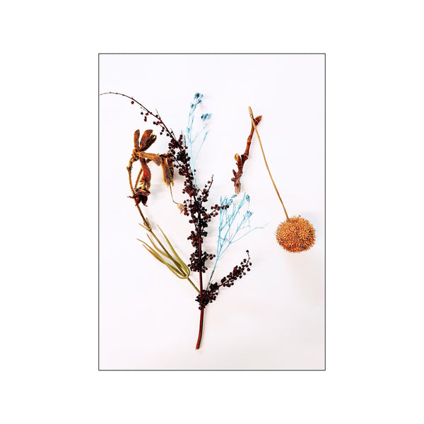 Botanical Remix - 1 — Art print by JA studio from Poster & Frame