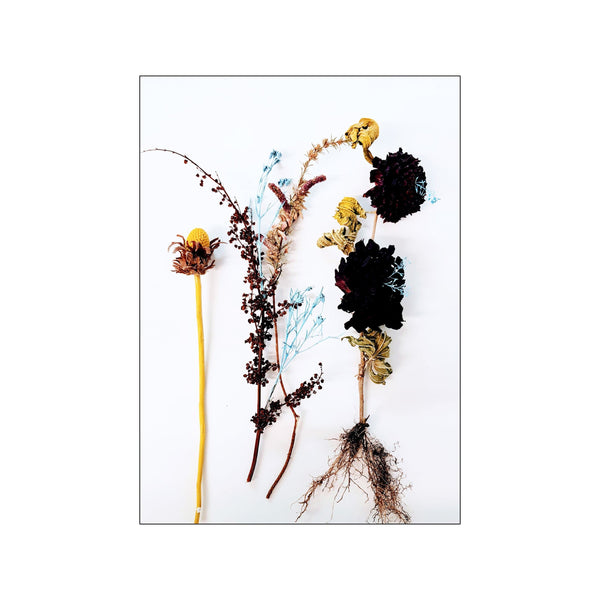 Botanical Remix - 2 — Art print by JA studio from Poster & Frame
