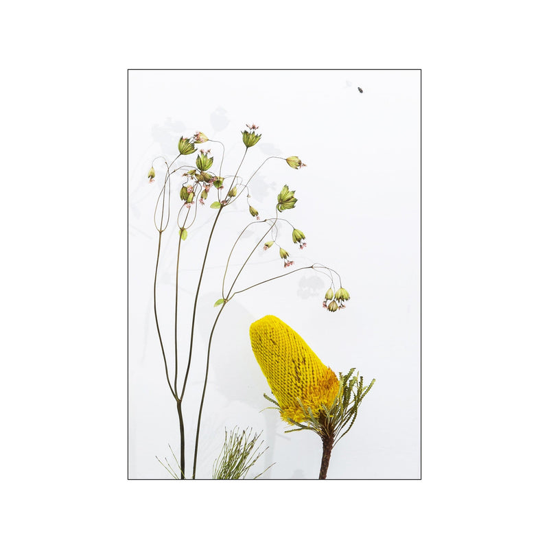 Botanical Remix - 3 — Art print by JA studio from Poster & Frame