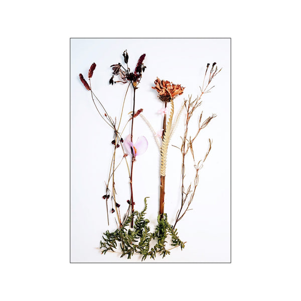 Botanical Remix - 4 — Art print by JA studio from Poster & Frame