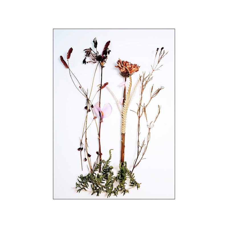 Botanical Remix - 4 — Art print by JA studio from Poster & Frame