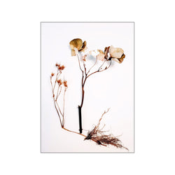Botanical Remix - 5 — Art print by JA studio from Poster & Frame
