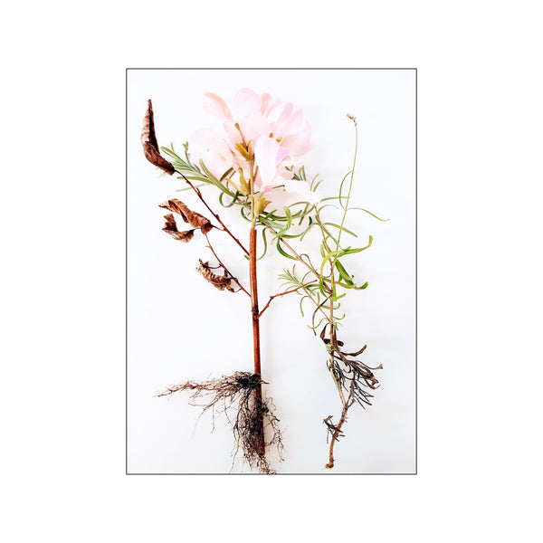 Botanical Remix - 6 — Art print by JA studio from Poster & Frame
