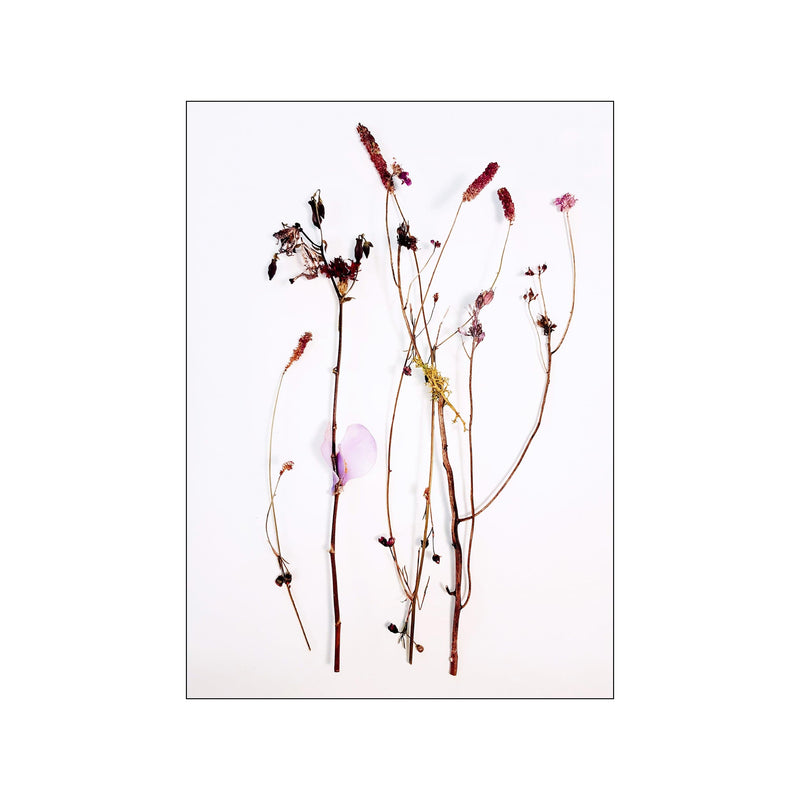 Botanical Remix - 8 — Art print by JA studio from Poster & Frame