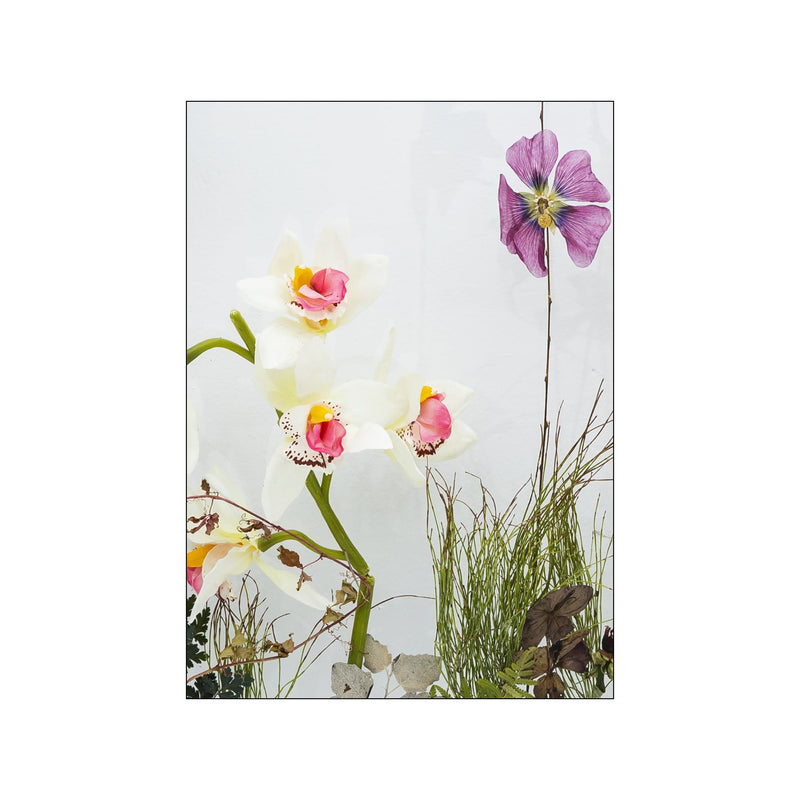 Botanical Remix - 9 — Art print by JA studio from Poster & Frame