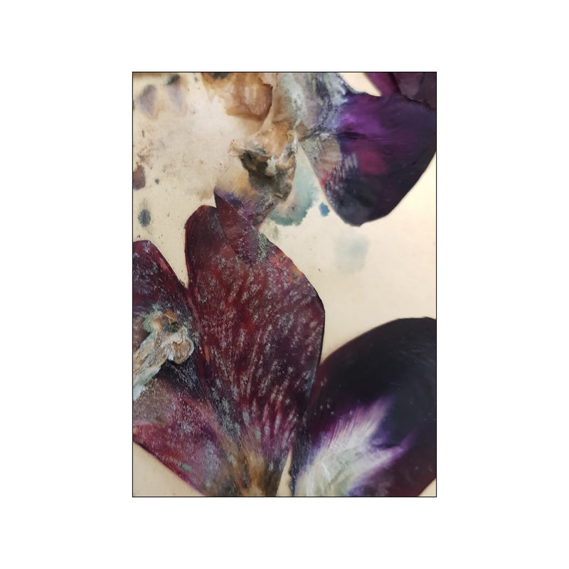 Lilac - 3 — Art print by JA studio from Poster & Frame