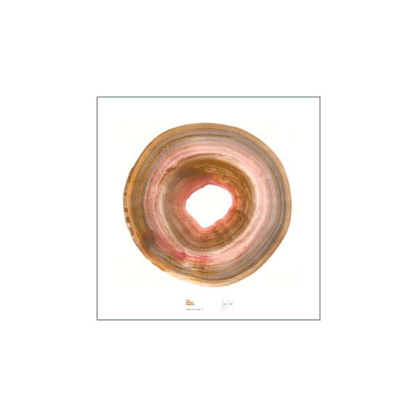 Amber Circle of Life '22 — Art print by Jan Gustav Projects from Poster & Frame