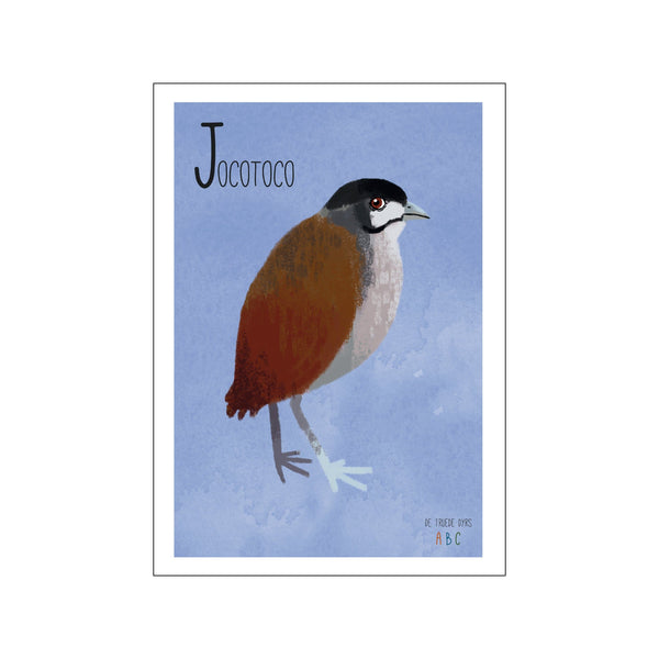 Jocotoco — Art print by Line Malling Schmidt from Poster & Frame