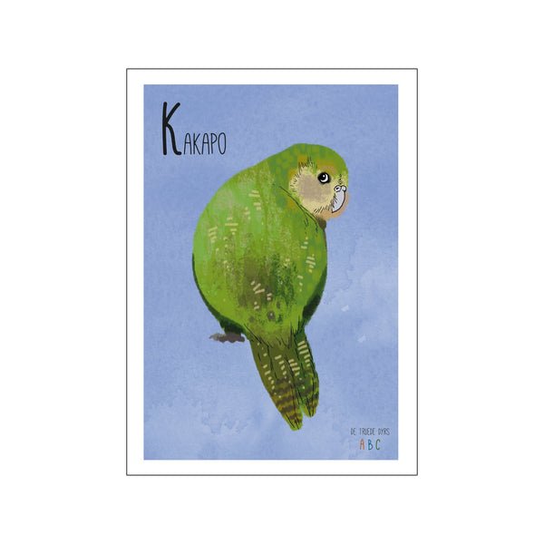 Kakapo — Art print by Line Malling Schmidt from Poster & Frame