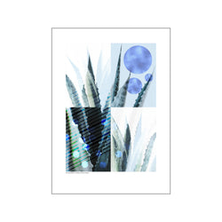 Kaktus - Blå — Art print by GraphicARTcph from Poster & Frame