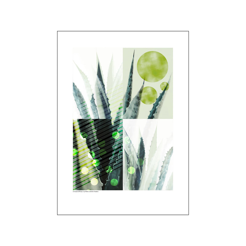 Kaktus - Grøn — Art print by GraphicARTcph from Poster & Frame