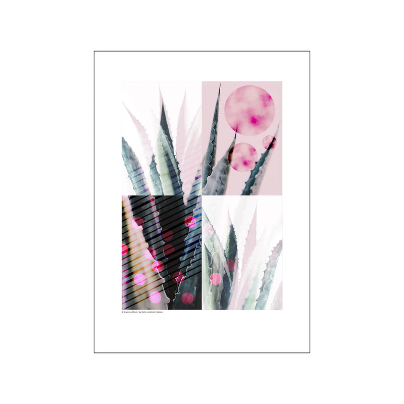 Kaktus - Pink — Art print by GraphicARTcph from Poster & Frame