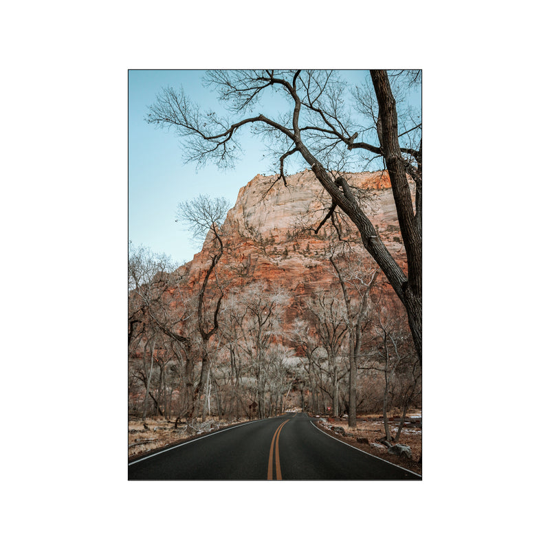 The Road through Zion National Park — Art print by Nordd Studio from Poster & Frame