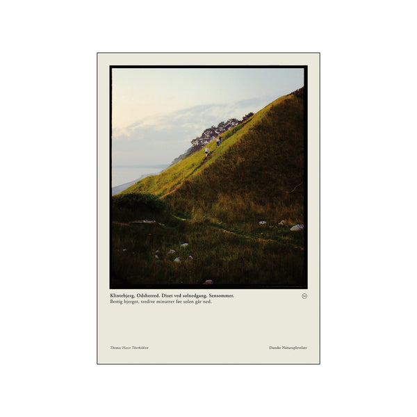 Klintebjerg, sensommer - 2 — Art print by Thomas Hasse Therkildsen from Poster & Frame