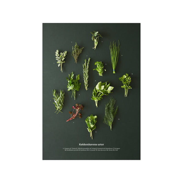 Køkkenhavens urter — Art print by Planetarisk Kogebog from Poster & Frame