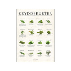 Krydderurter, sten — Art print by Simon Holst from Poster & Frame