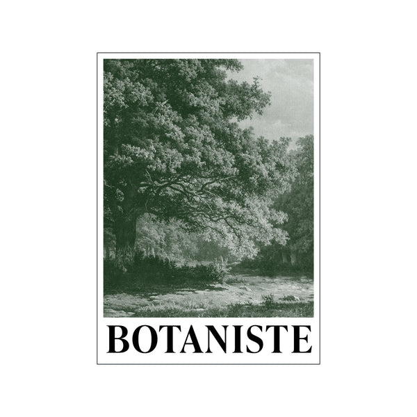 Botaniste — Art print by Kunstary from Poster & Frame