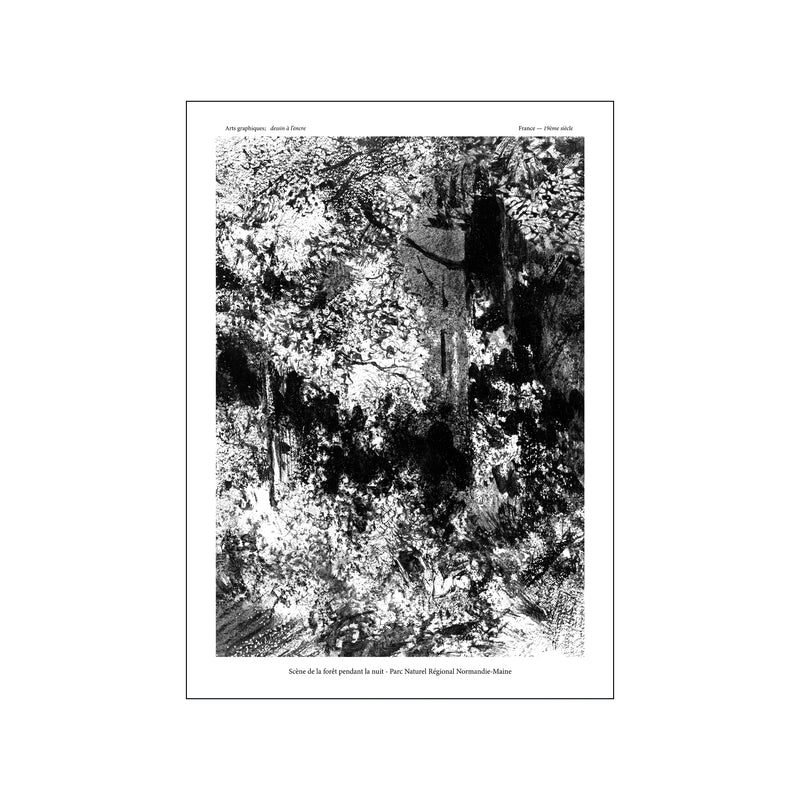 Forest Scene — Art print by Kunstary from Poster & Frame