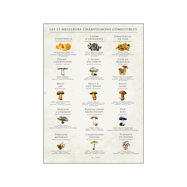 LES 15 MEILLEURS CHAMPIGNONS COMESTIBLES — Art print by Simon Holst from Poster & Frame