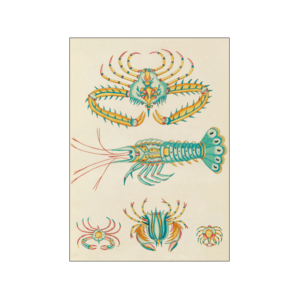 Colorful crabs ll — Art print by Louis Renard from Poster & Frame