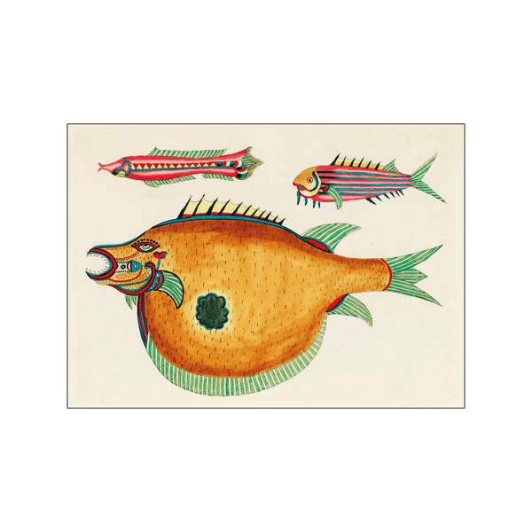 Colorful fishes l — Art print by Louis Renard from Poster & Frame