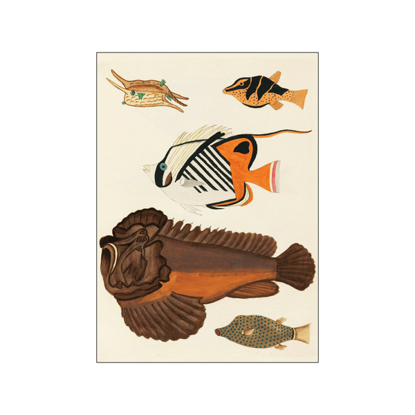 Colorful fishes ll — Art print by Louis Renard from Poster & Frame