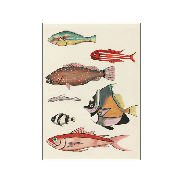 Colorful fishes llll — Art print by Louis Renard from Poster & Frame