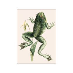 Bull frog — Art print by Mark Catesby from Poster & Frame