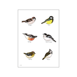 Mellem fugle vol 2 — Art print by Line Malling Schmidt from Poster & Frame