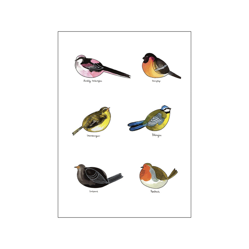 Mellem fugle vol 1 — Art print by Line Malling Schmidt from Poster & Frame