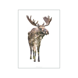 Moose — Art print by Faunascapes from Poster & Frame