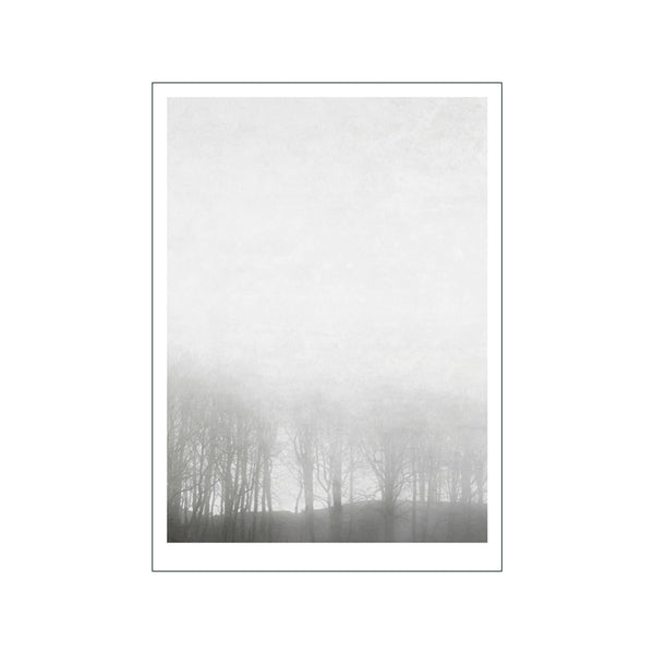 Morning Fog — Art print by Ingrey Studio from Poster & Frame