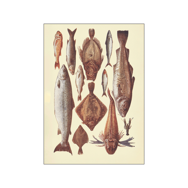 Fish l — Art print by Mrs. Beeton from Poster & Frame
