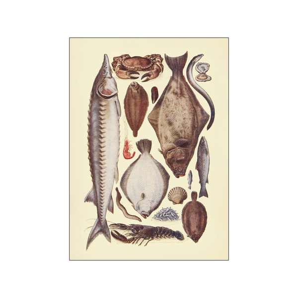 Fish ll — Art print by Mrs. Beeton from Poster & Frame